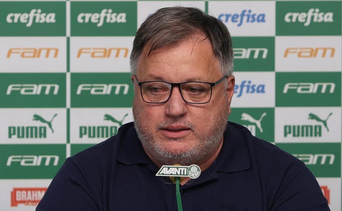 “Custou €17 milhões”; na busca por um camisa 9, diretor do Palmeiras recebe atualização de centroavante na ... - Bolavip Brasil