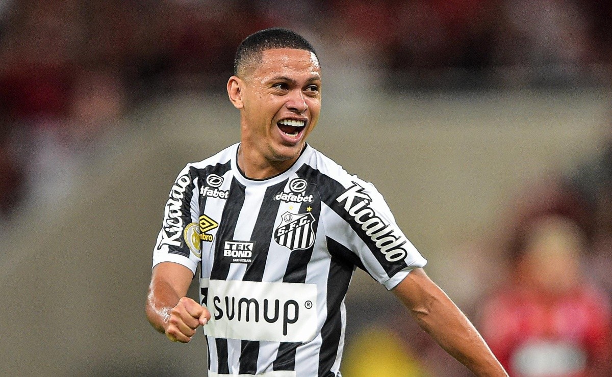 Diretoria recebe “ok” de técnico Fabián Bustos e Santos define situação de Marcos Guilherme - Bolavip Brasil